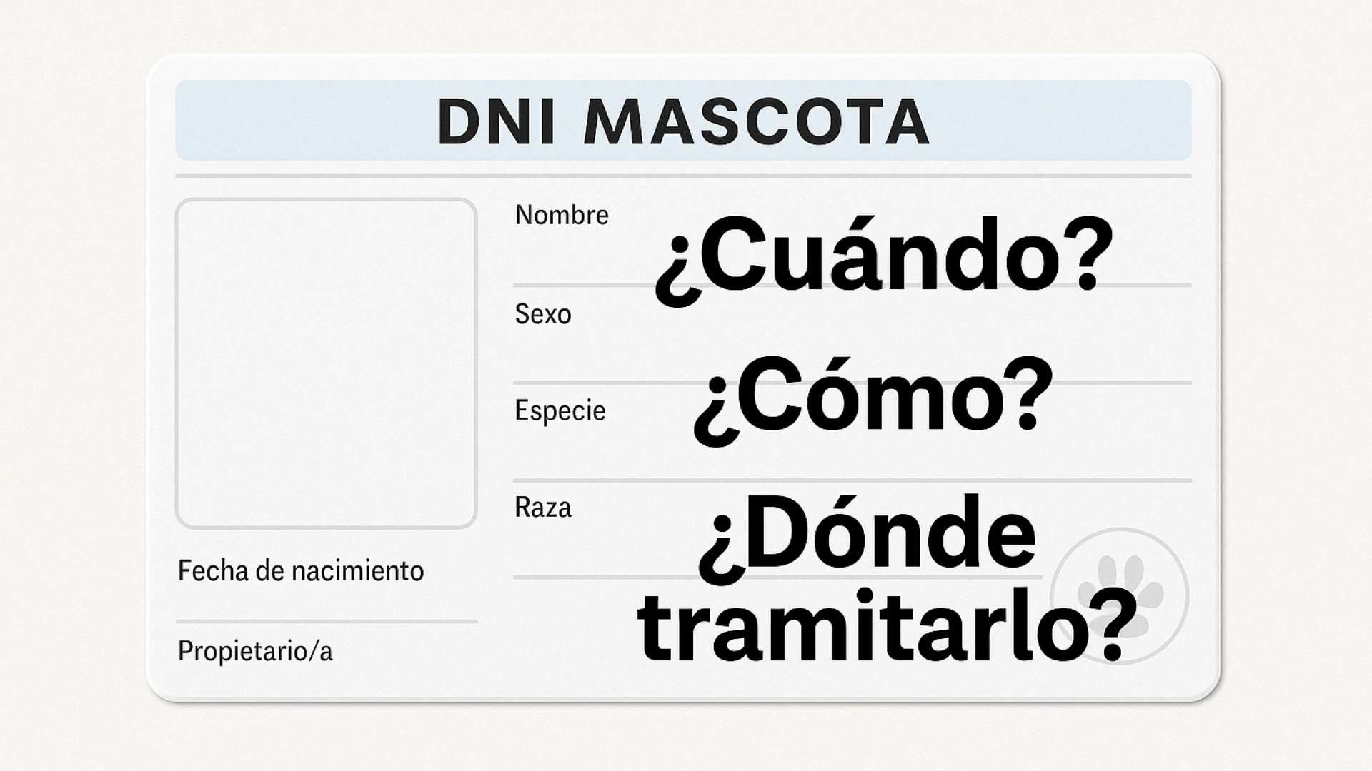 DNI mascotas - preguntas
